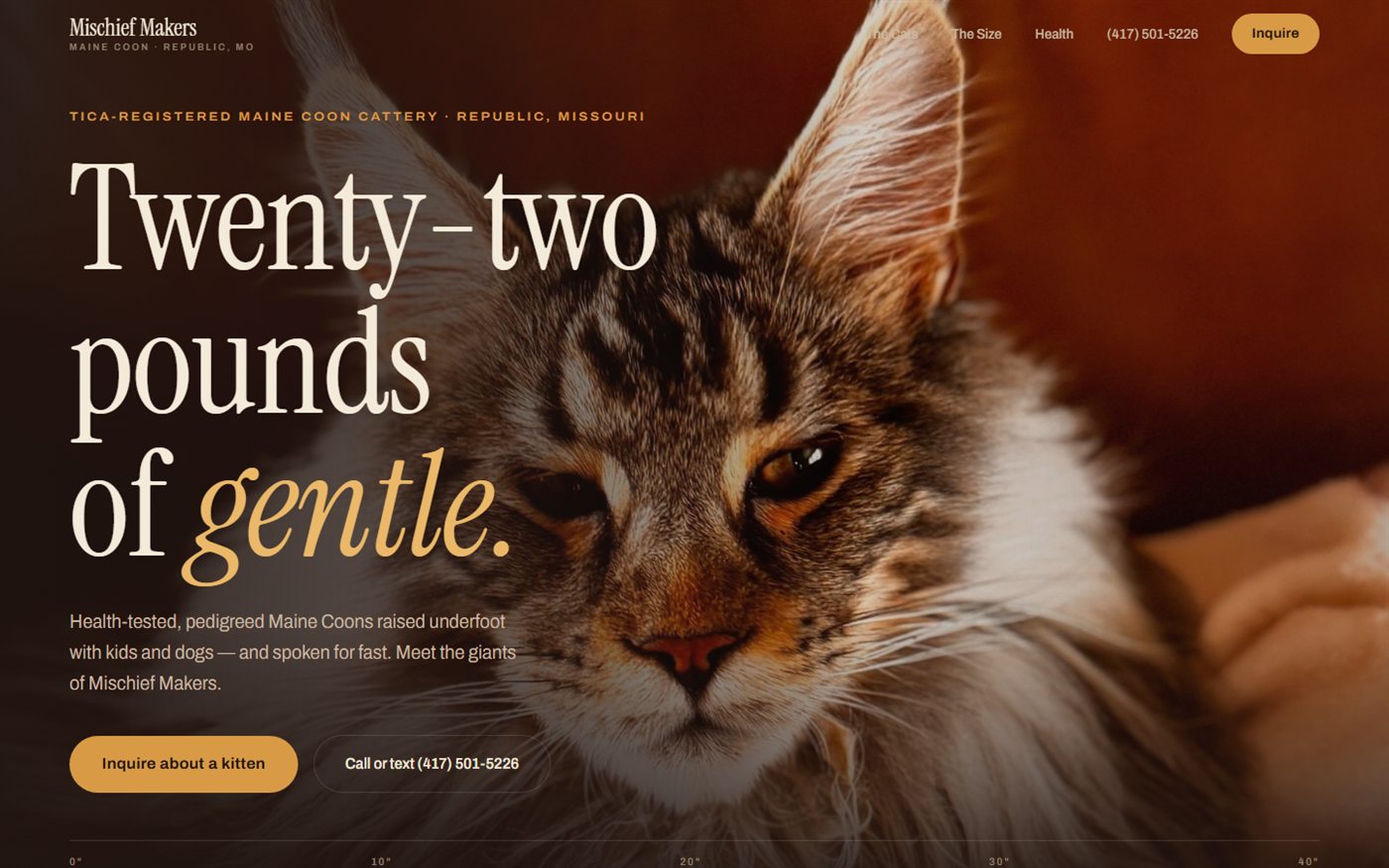 Mischief Makers website — dark premium design for a Maine Coon cattery